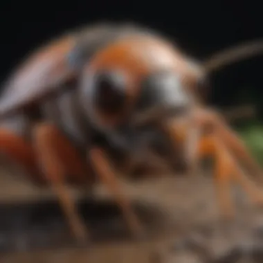 Harmful Pests: Threats to Agriculture Visual representation of harmful pests in agriculture
