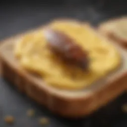 Close-up of bug butter spread on a slice of bread