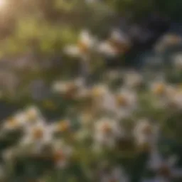 Aerial view of a lush garden with bees pollinating flowers