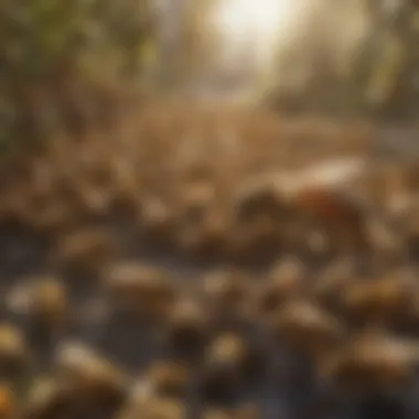 Ecological Role of Bees Ecological impact of bees in urban environments