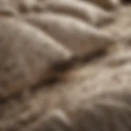 Close-up of bird mites on bedding