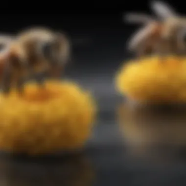 Comparison of Control Methods Infographic comparing natural and non-natural bee control methods