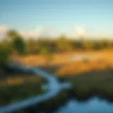 A serene view of Palatka, Florida, showcasing its natural surroundings