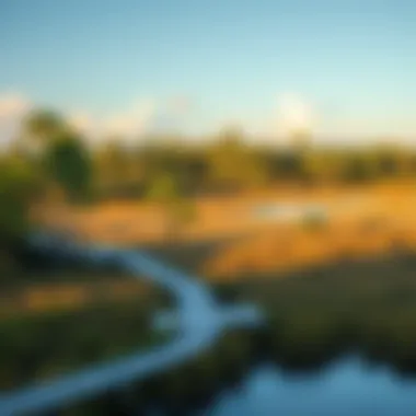 A serene view of Palatka, Florida, showcasing its natural surroundings