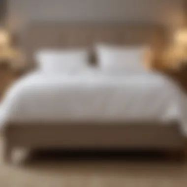 Creating a Pest-Free Sleeping Environment Illustration of a clean and pest-free bed environment