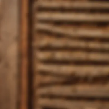 Infestation signs in a wooden structure, highlighting damage caused by termites