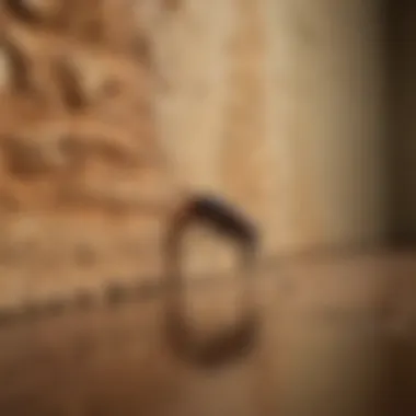 Professional Termite Inspection Professional conducting a termite inspection in a home