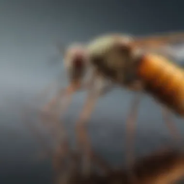 Illustration of safe application methods for insecticides