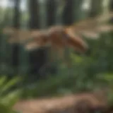 Close-up of a crane fly in natural habitat