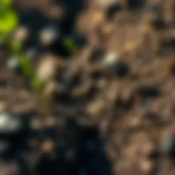 Close-up view of diverse soil layers revealing organic matter and minerals