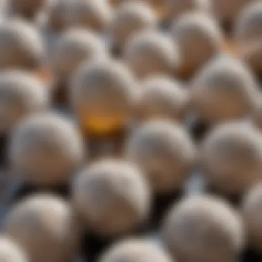 Understanding Naphthalene: The Active Component in Moth Balls Chemical structure of naphthalene in moth balls