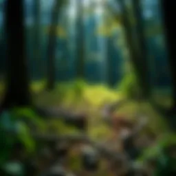 A serene woodland landscape showcasing diverse flora and fauna